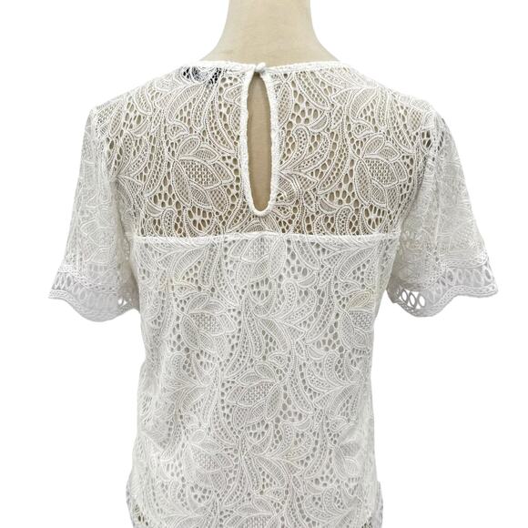 Laundry by Shelli Segal Cloverfield White Lace Overlay Feminine Blouse - Picture 12 of 14